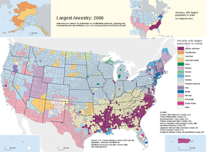 Mapa przedstawiająca zamieszkanie różnych imigrantów na terenie Stanów Zjednoczonych