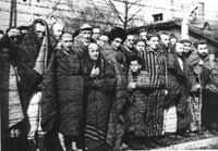 Auschwitz prisoners liberated by the Red Army in January 1945 (Photo from the Archives of the Auschwitz-Birkenau Museum)